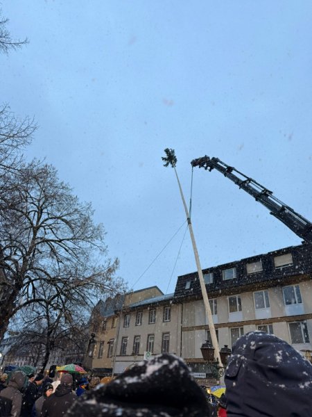 Fasnacht fasnacht/2026